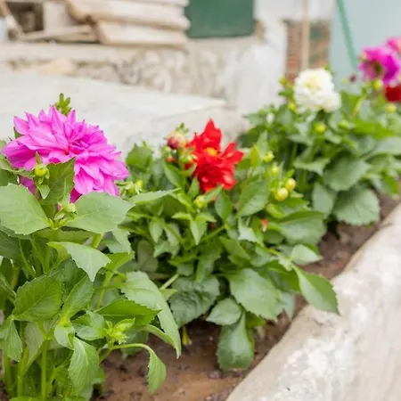 Vista De Montana Meteora Ii Vlachava