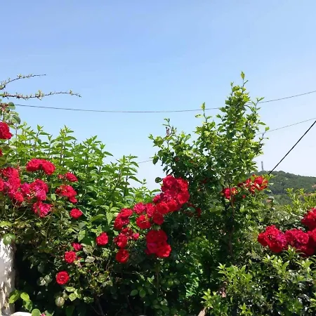 Vista De Montana Meteora Ii * Vlachava