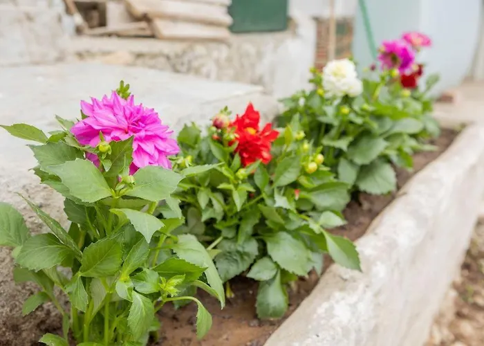 Vista De Montana Meteora Ii Vlachava